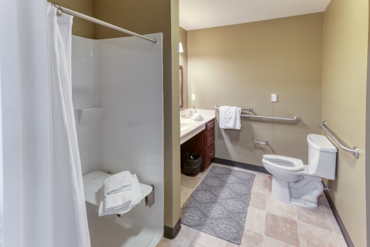 An accessible bathroom with a walk-in shower, handrails, and modern amenities.