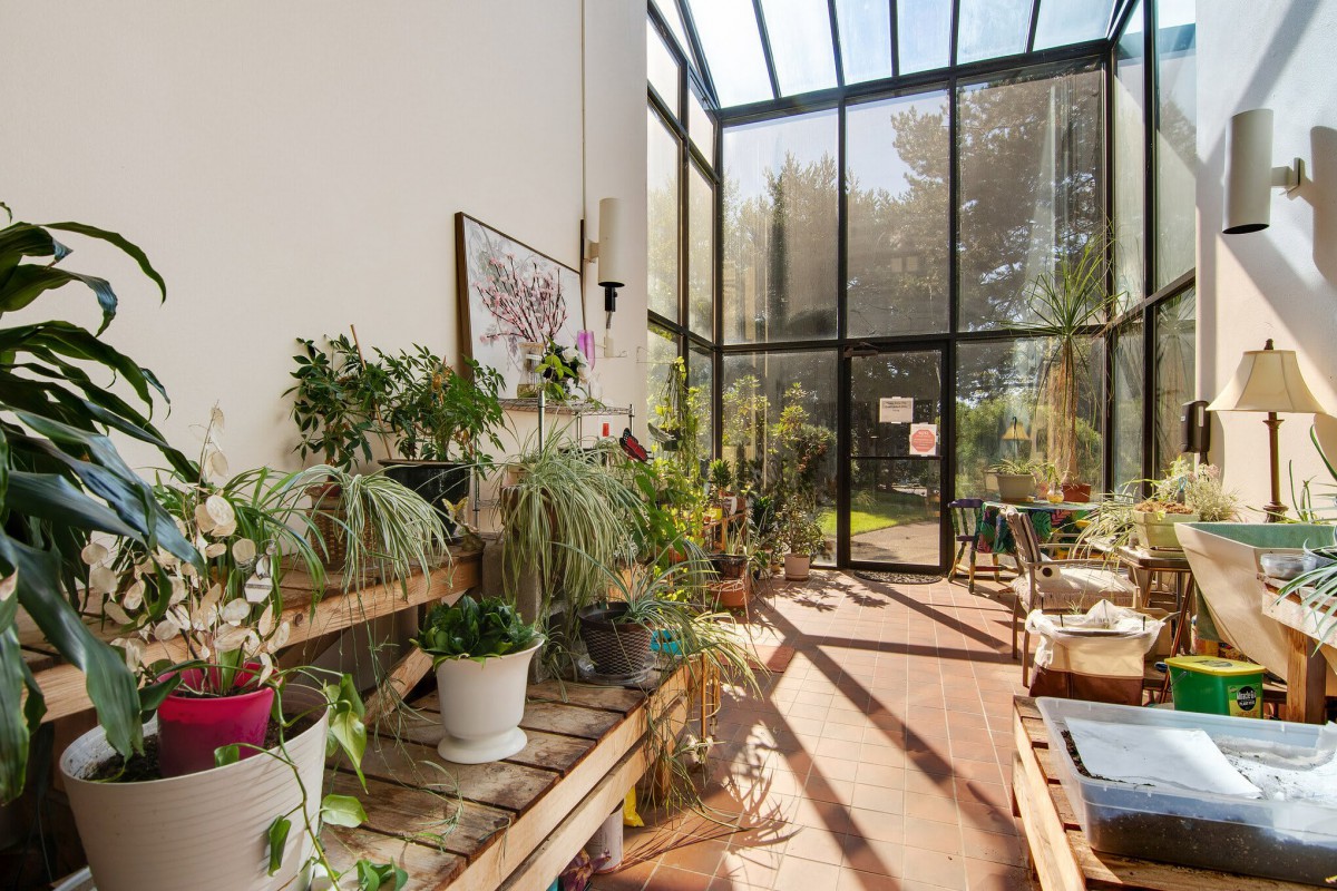 A sunlit greenhouse with a variety of potted plants and large glass windows.