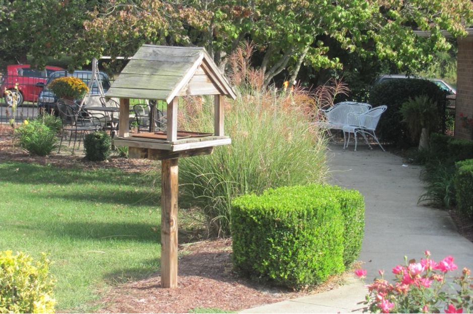 A wooden birdhouse stands in a lush garden surrounded by greenery and trimmed bushes.