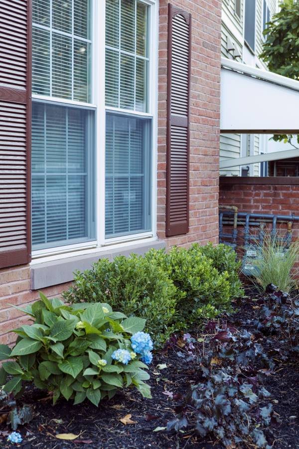 A view of a house exterior with a brick wall and window, surrounded by a small garden with various plants.