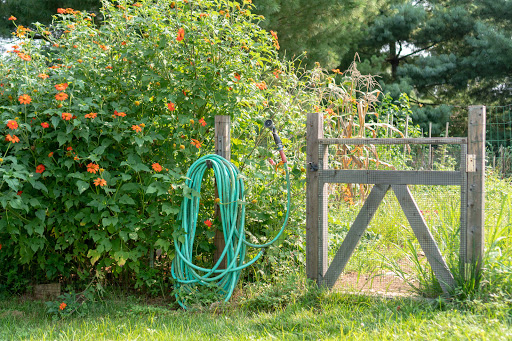 A charming garden scene featuring vibrant flowering plants, a coiled garden hose, and a rustic wooden gate.