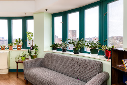 A cozy living room area featuring a gray sofa and indoor plants, illuminated by natural light streaming through large windows.