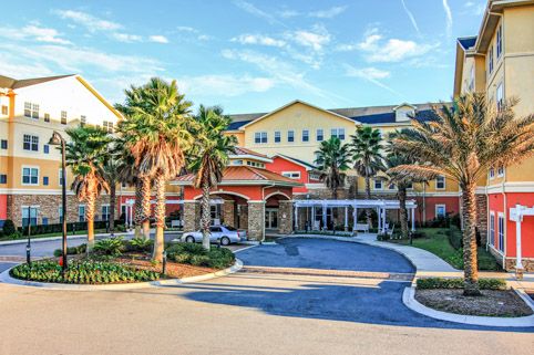 A sunny day view of a building entrance surrounded by palm trees and well-maintained landscaping.