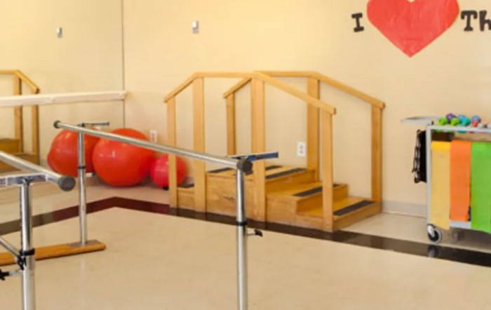 A therapy room equipped with balance bars, wooden stairs, and exercise balls for physical rehabilitation.