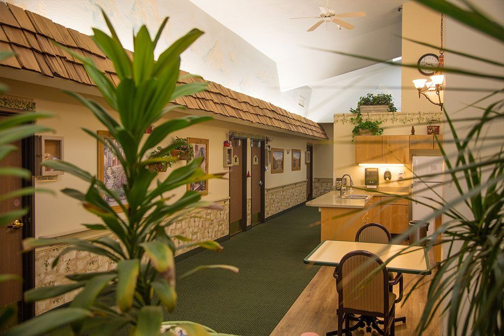 A cozy indoor hallway with plants and seating arrangements.