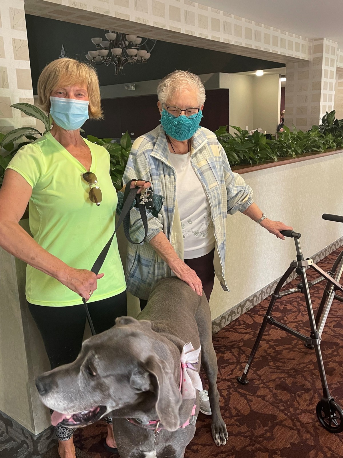 Two people wearing masks indoors, accompanied by a large dog.