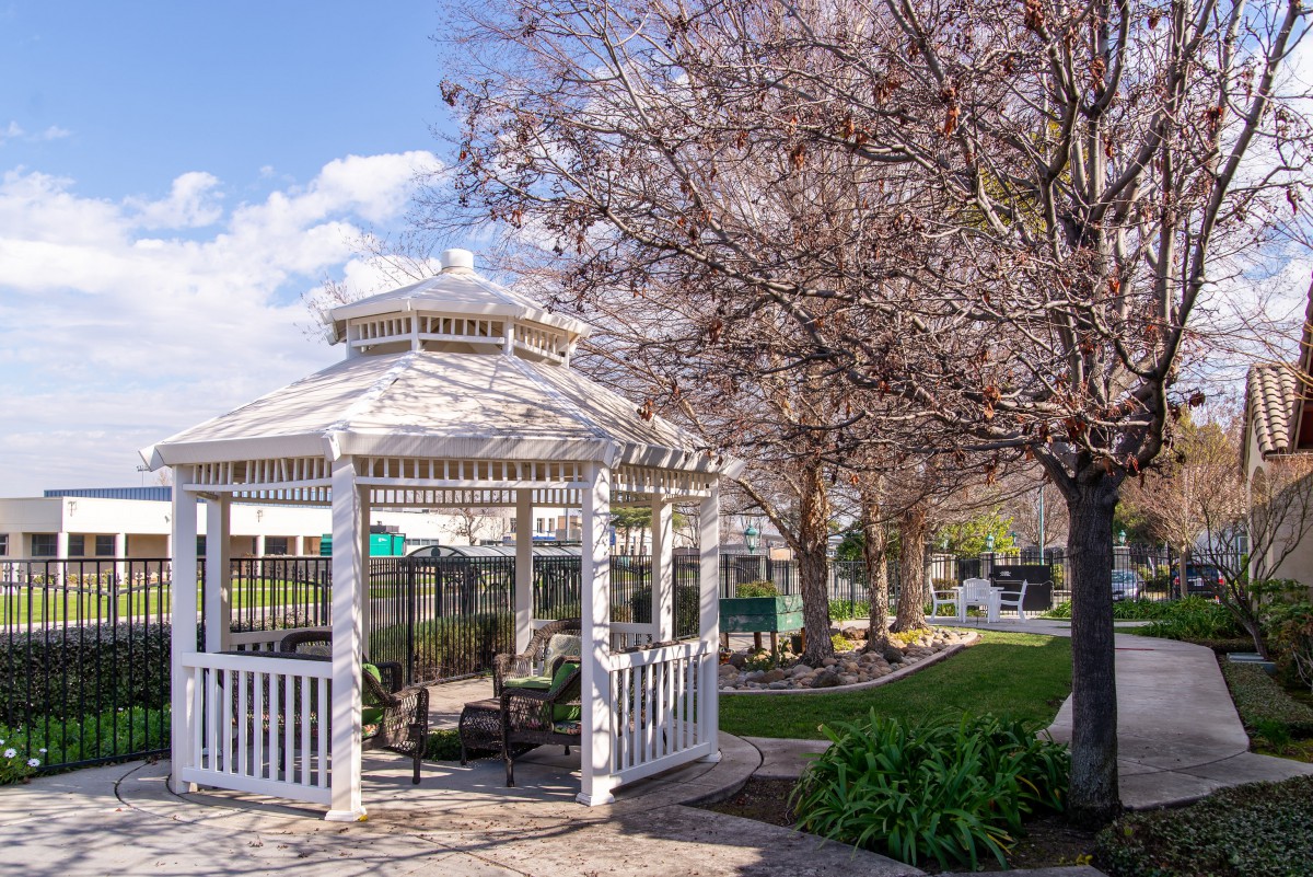 A charming gazebo surrounded by blooming trees in a tranquil garden setting.