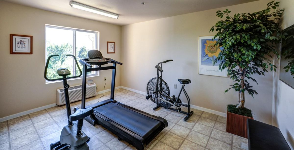 A small exercise room featuring a treadmill and a stationary bike.