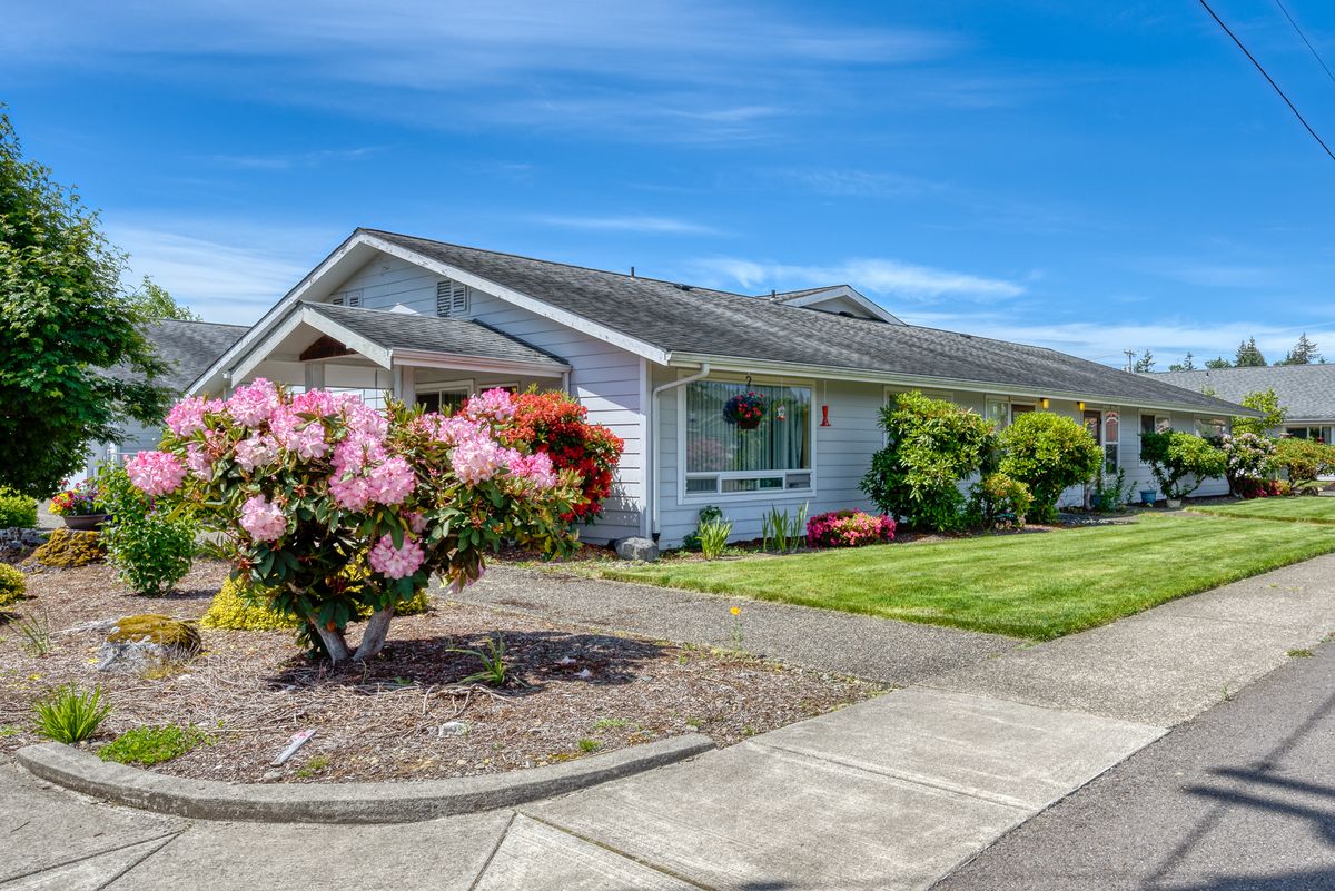 A suburban house with a well-maintained garden and lawn.