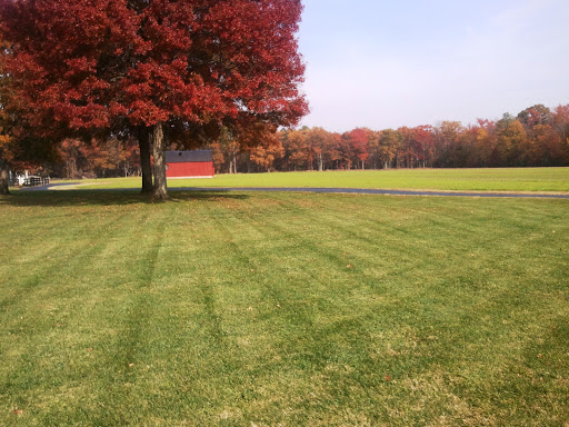 A beautiful autumn scene featuring a vibrant red tree against a lush green lawn.