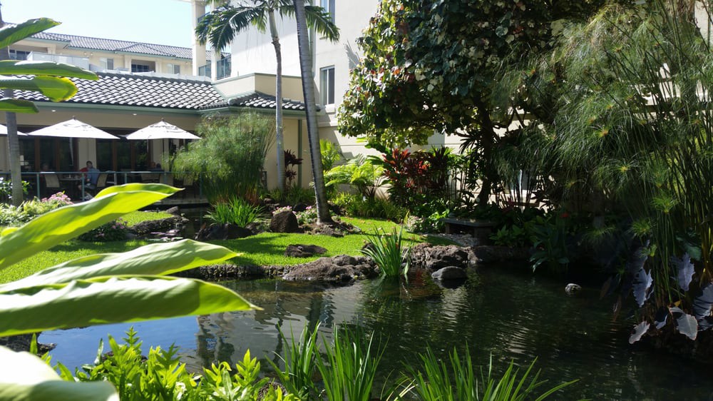 A serene tropical garden with a tranquil pond surrounded by lush greenery.