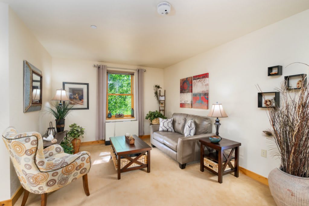 A cozy living room with a sofa, armchair, coffee table, and decorative elements.