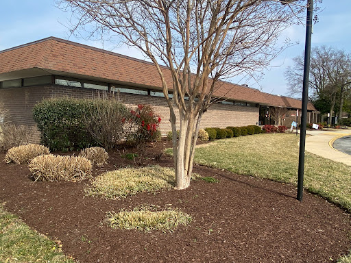 A tranquil garden scene featuring a tree and well-maintained landscaping.