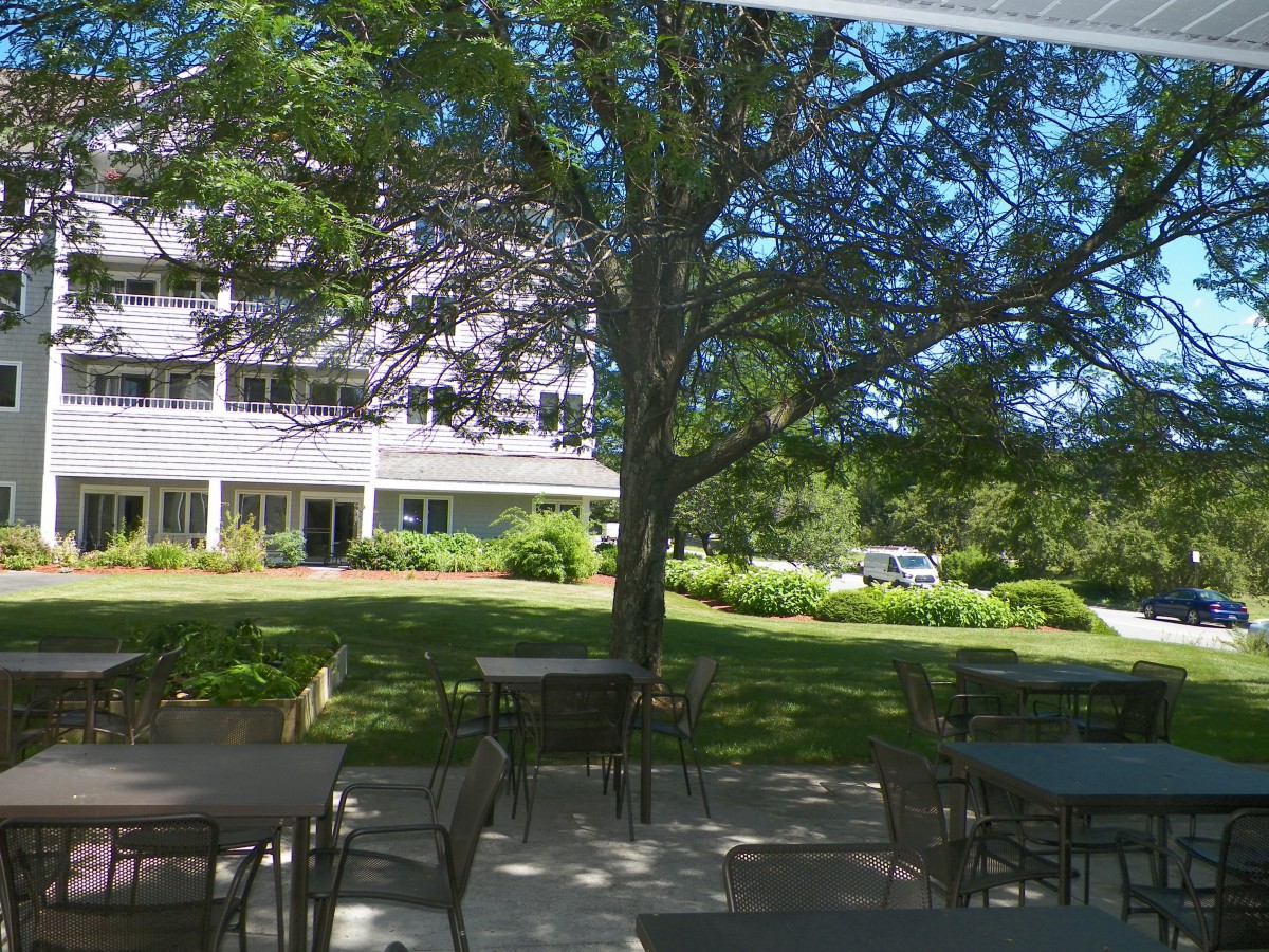 A sunny outdoor area with tables and chairs under a large tree, near a building.