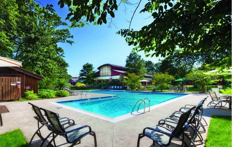 A tranquil outdoor pool surrounded by trees and lounge chairs on a sunny day.