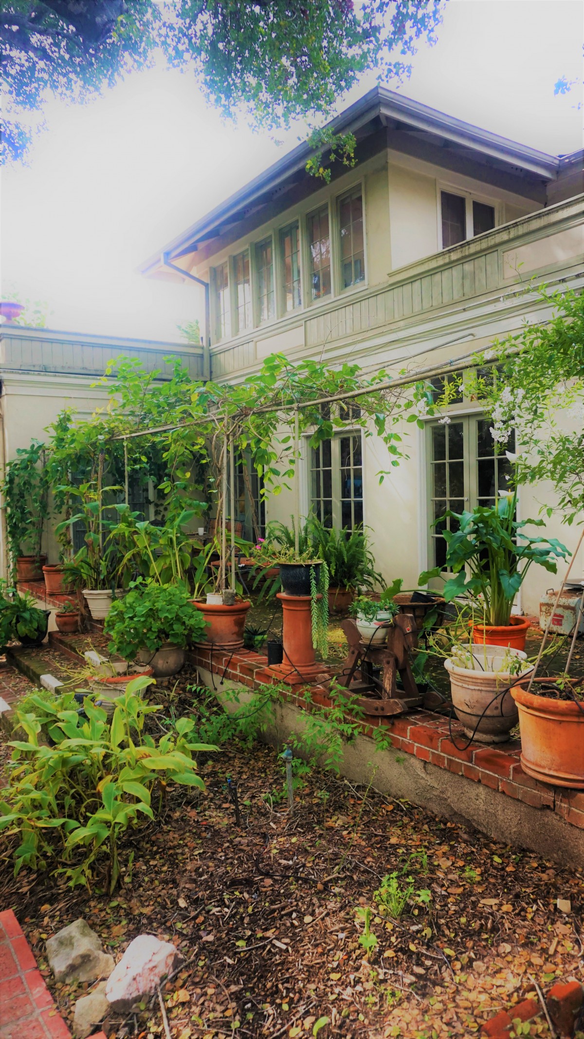 A lush garden with various potted plants outside a house.