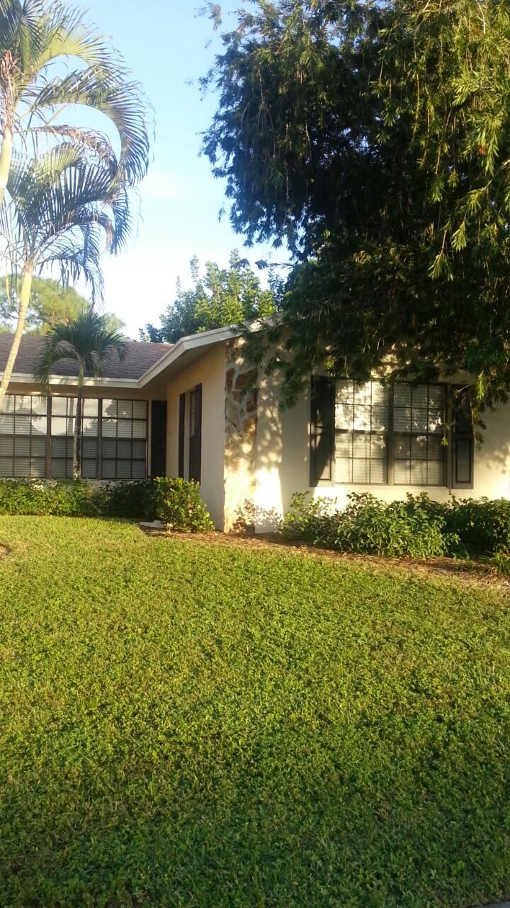 A cozy residential house with a well-maintained lawn and surrounding trees basking in sunlight.