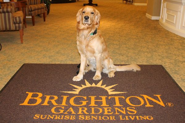 Brighton Gardens Of Tuckerman Lane
