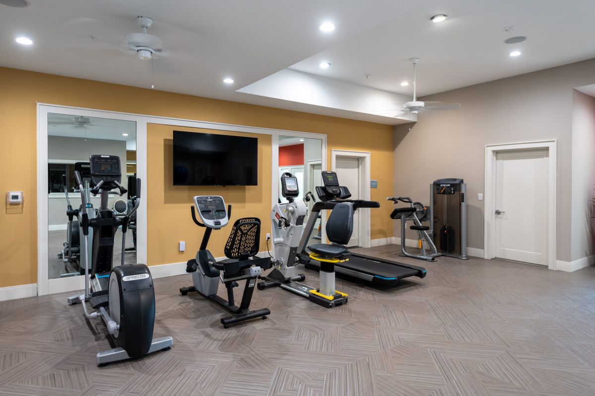 A modern gym with various exercise equipment including treadmills and stationary bikes.