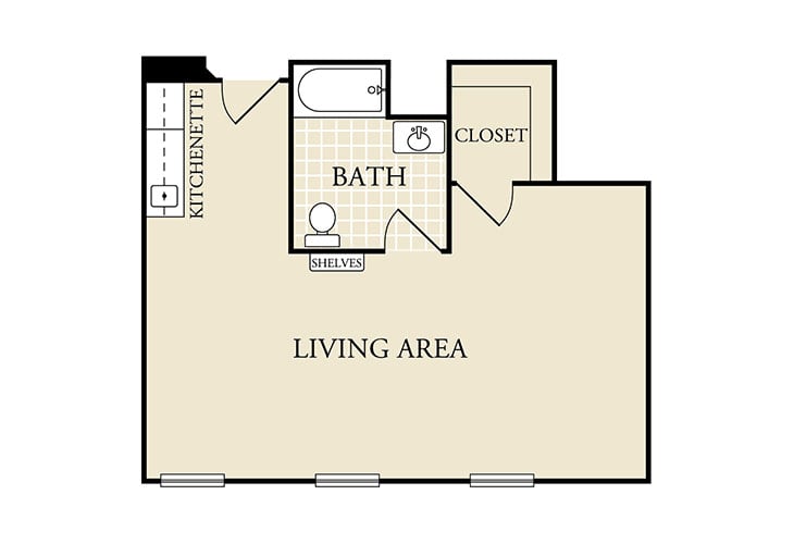 Studio apartment floor plan featuring a living area, kitchenette, bathroom, and closet.
