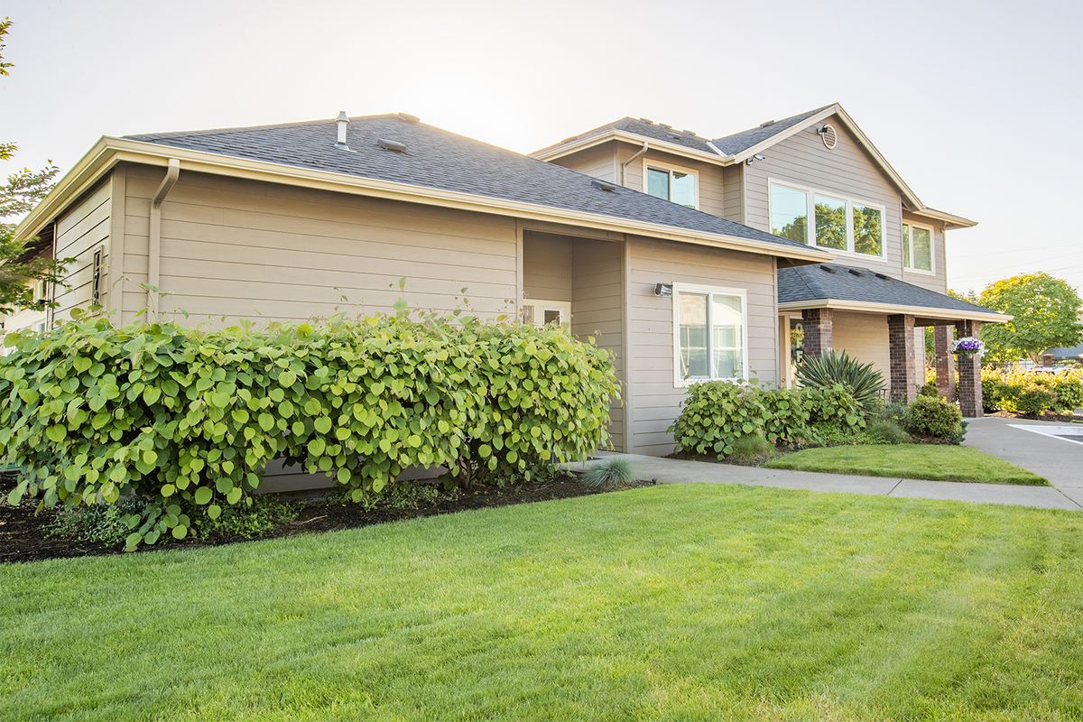A suburban house with a well-maintained lawn and shrubs.