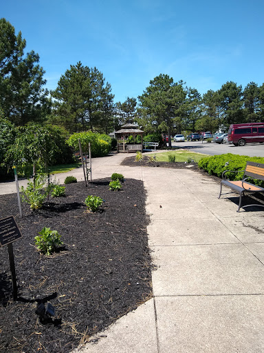 A serene pathway in a park, surrounded by lush landscaping and benches for relaxation.