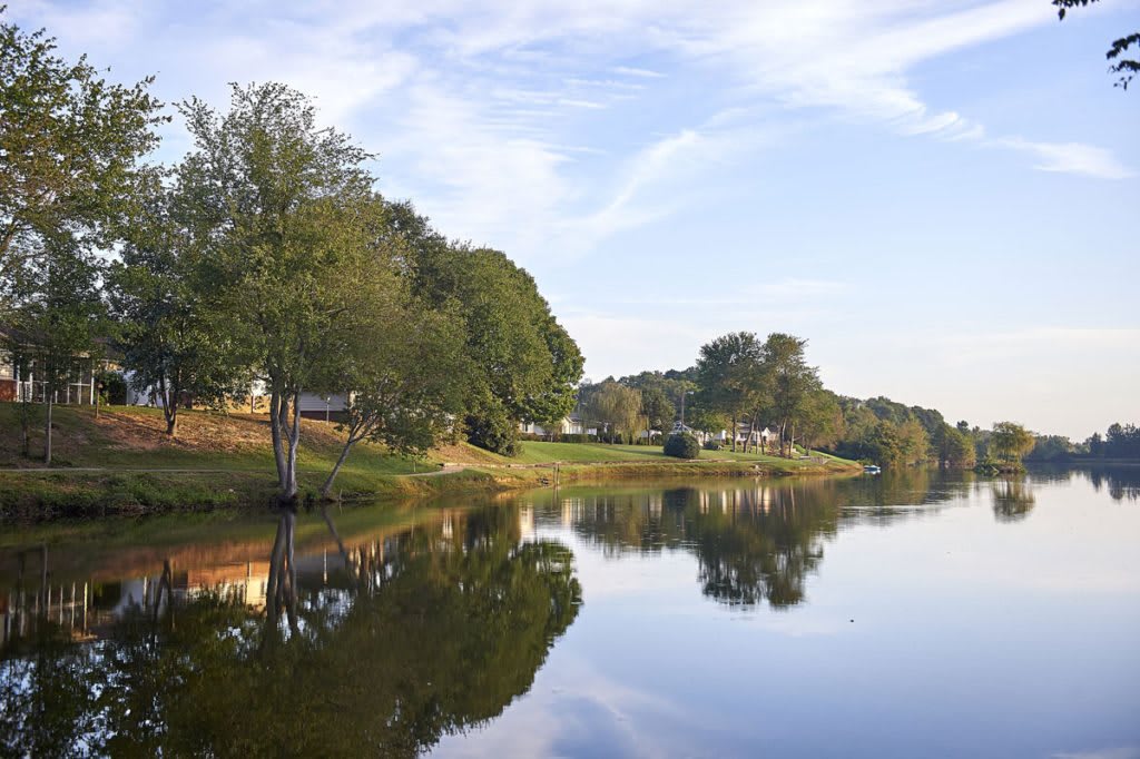 A serene landscape with a calm lake reflecting the surrounding trees and sky.