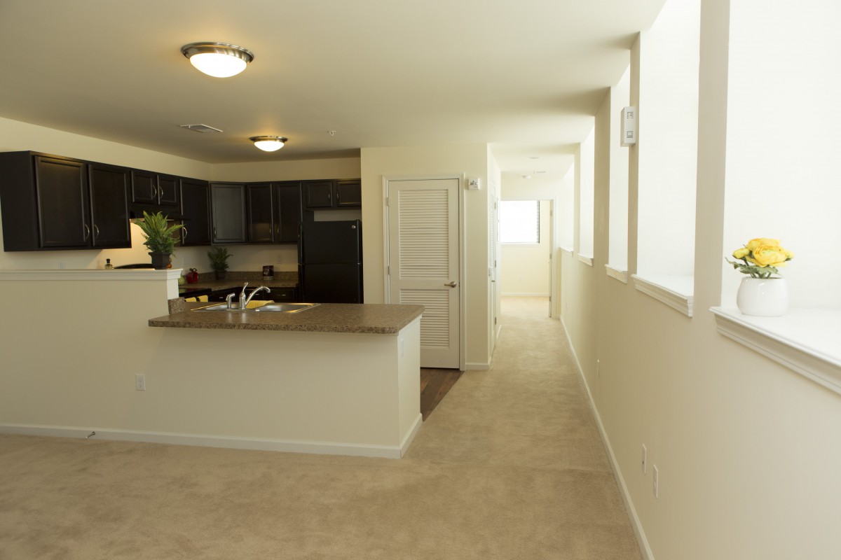 A modern kitchen with a countertop and adjoining hallway in an apartment.