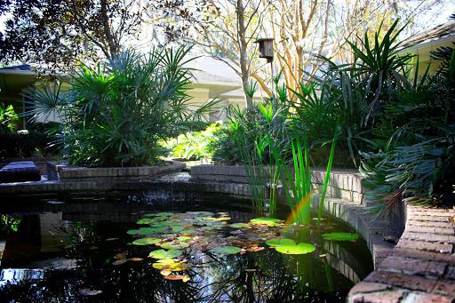 A serene garden pond adorned with water lilies, surrounded by lush greenery and soft reflections.