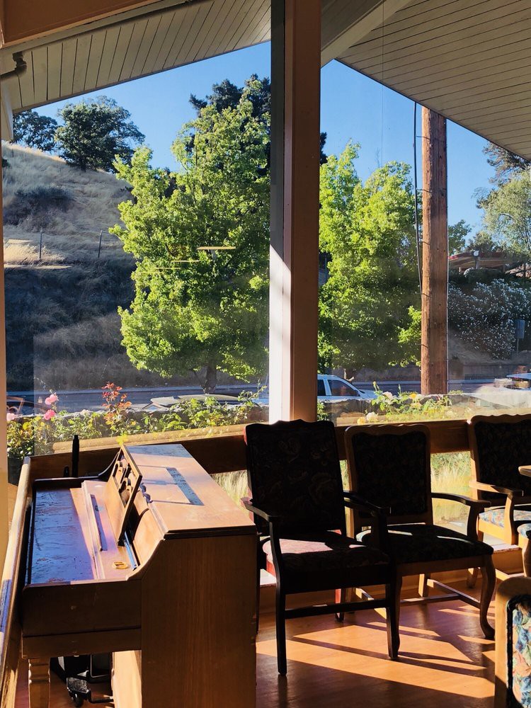 Sunlit interior with large windows overlooking trees.