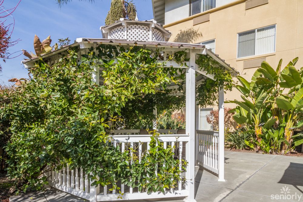 A white gazebo covered with vines in a garden setting.