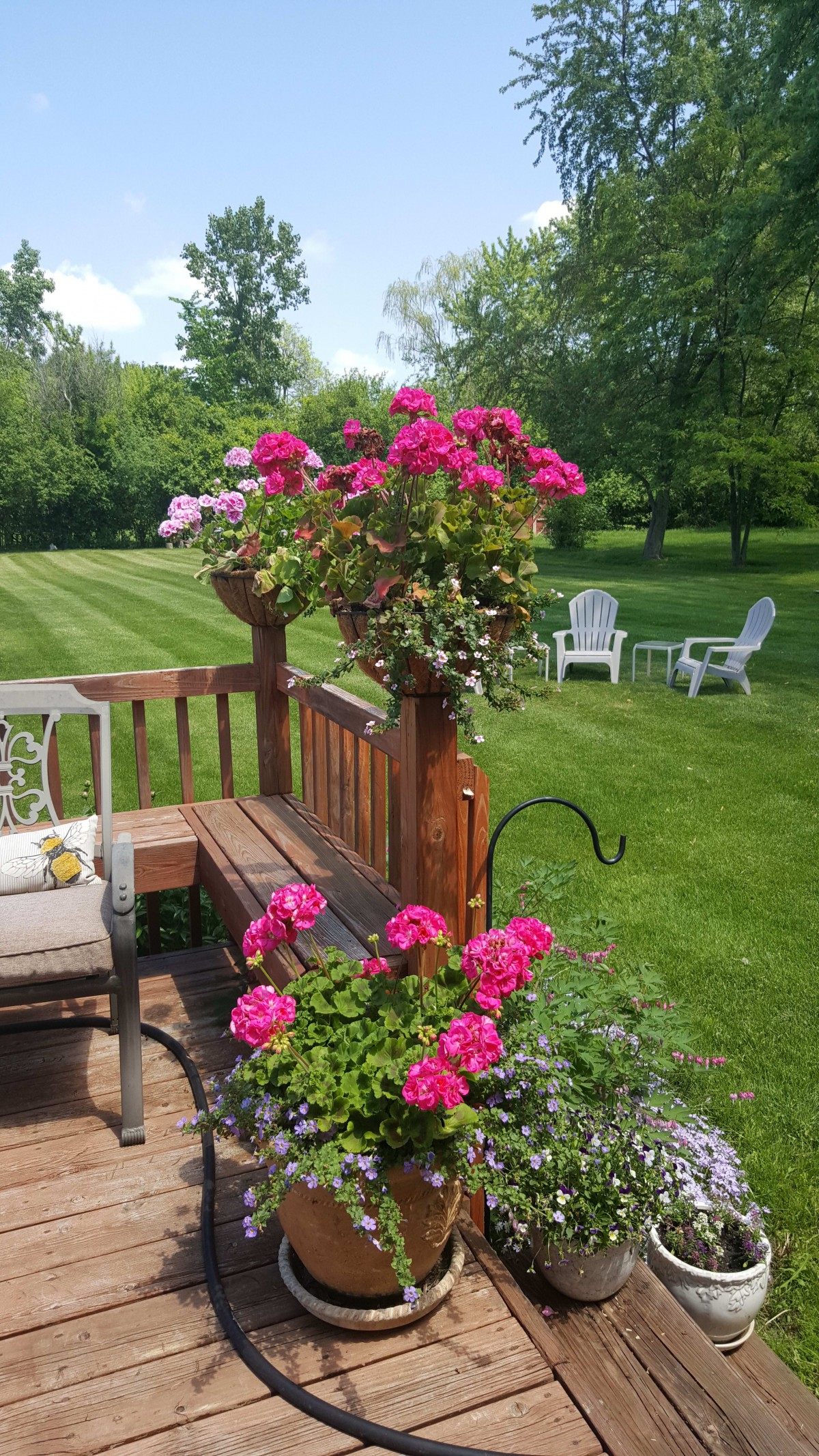A serene garden with vibrant pink flowers and comfortable outdoor seating.