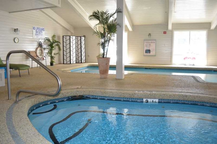 Indoor swimming and hot tub area with palm plants for a relaxing atmosphere.