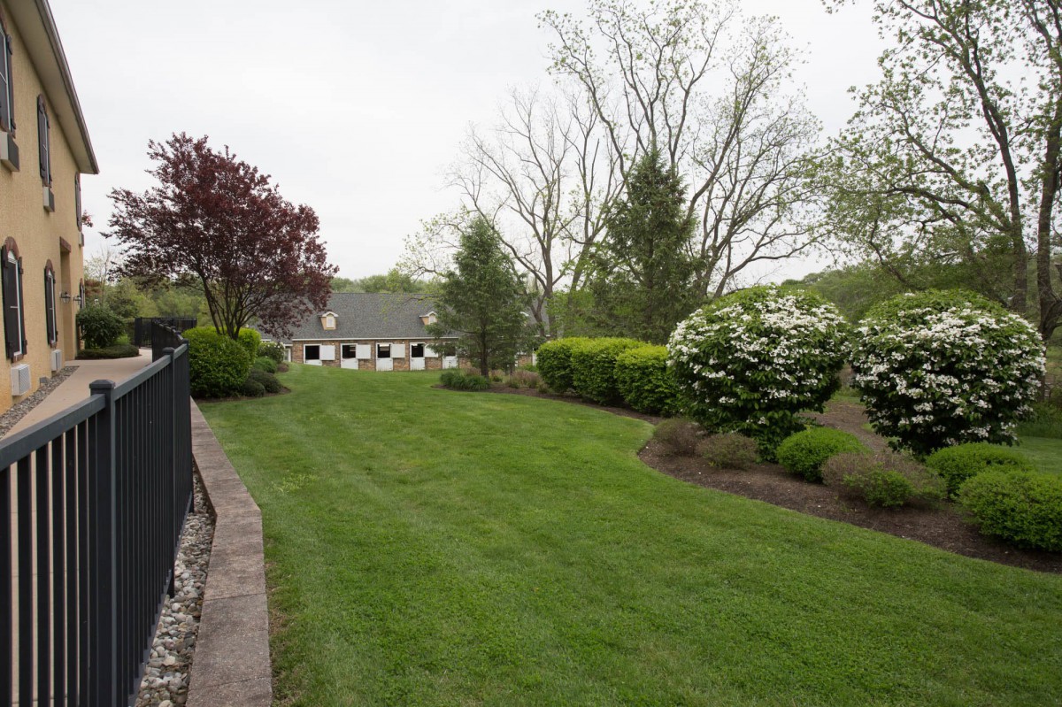 A well-maintained backyard with a lush green lawn, surrounded by trees and shrubs, leading up to a house.