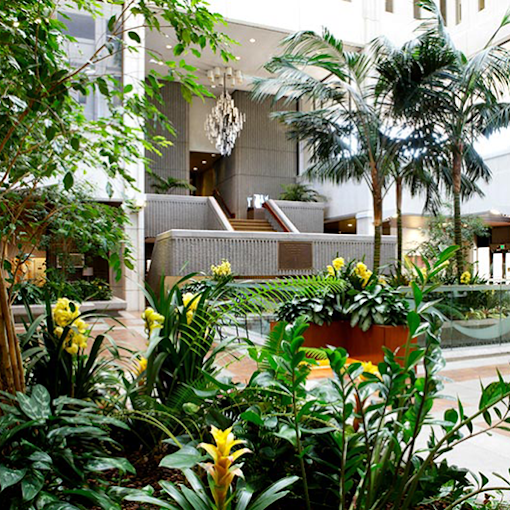 A lush indoor garden featuring vibrant plants in a modern lobby space.