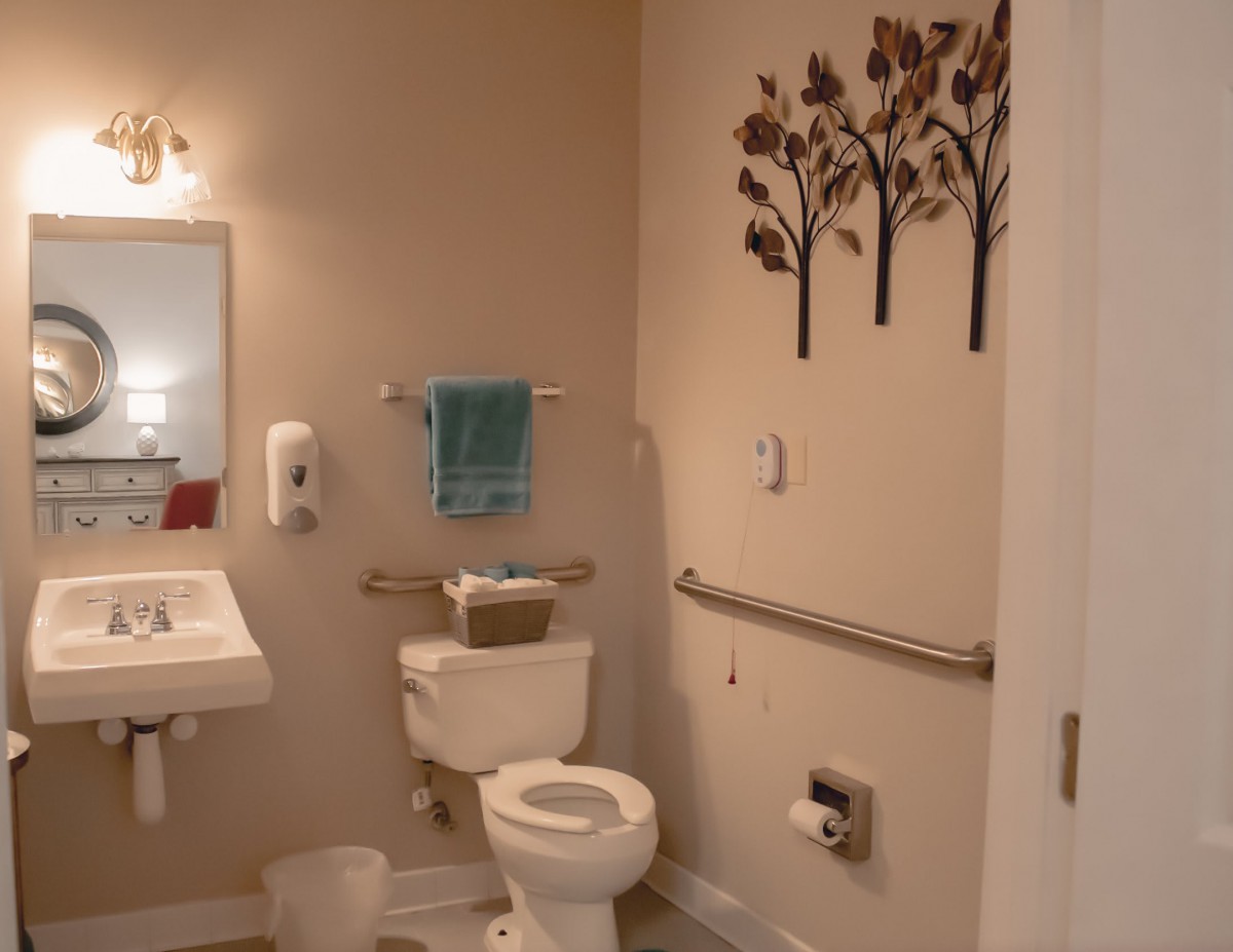 A clean and accessible bathroom with a sink and toilet, equipped with handrails.