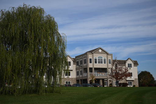 The Willow