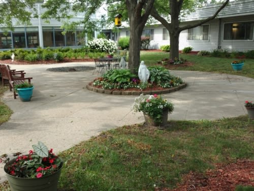 A tranquil garden courtyard with a central tree surrounded by flowers and greenery.