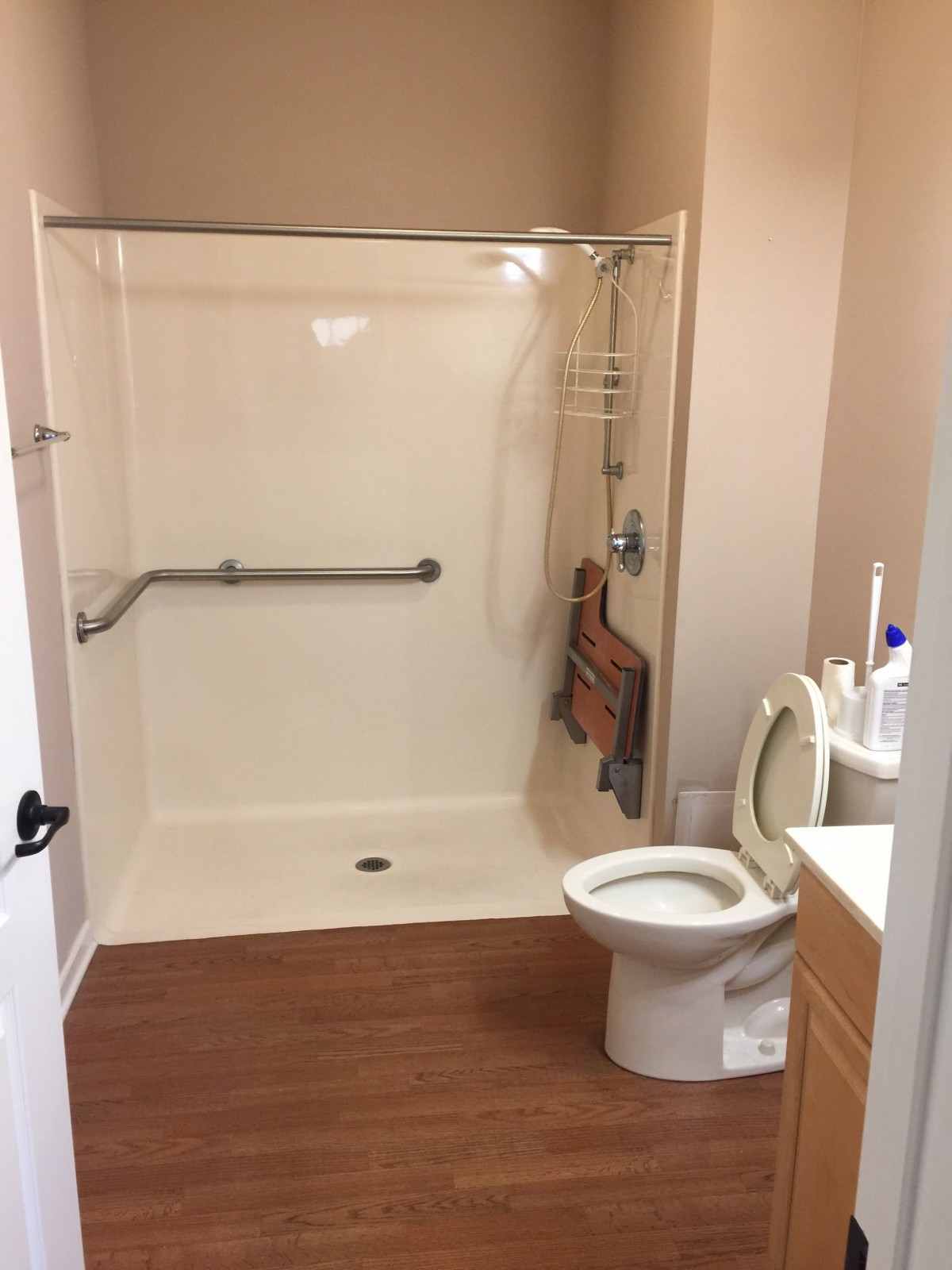 Minimalist and accessible bathroom with a walk-in shower and grab bar.