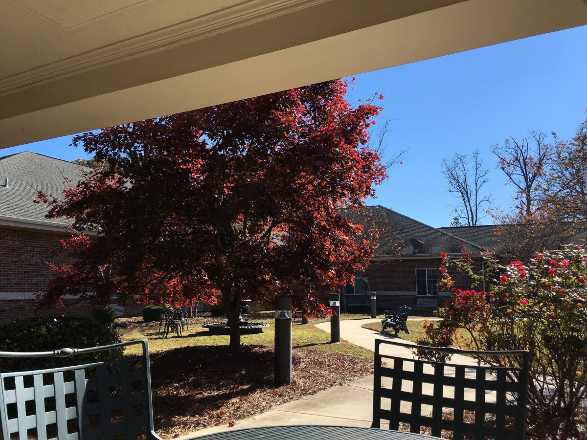 A sunny autumn day with a tree full of red leaves viewed from a patio.