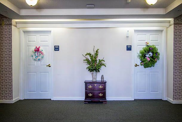 A festive hallway with decorated doors and a central plant arrangement.
