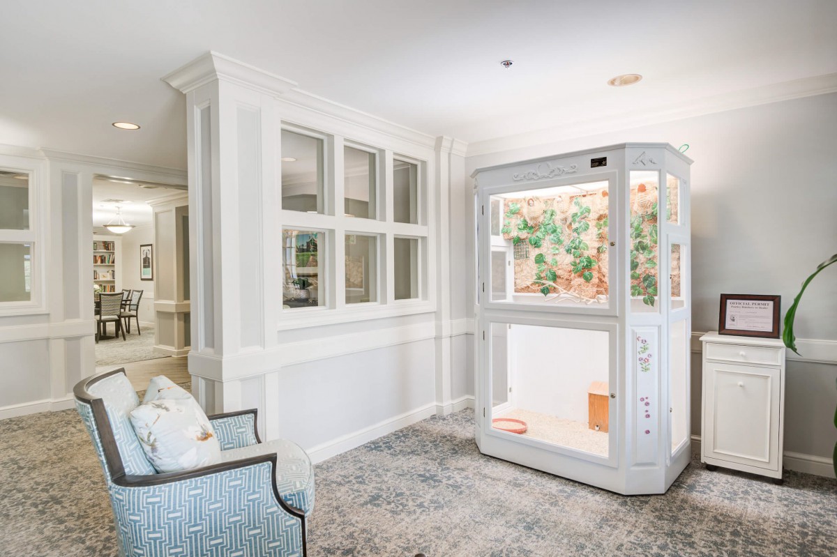 A modern indoor elevator in a elegantly designed home interior.
