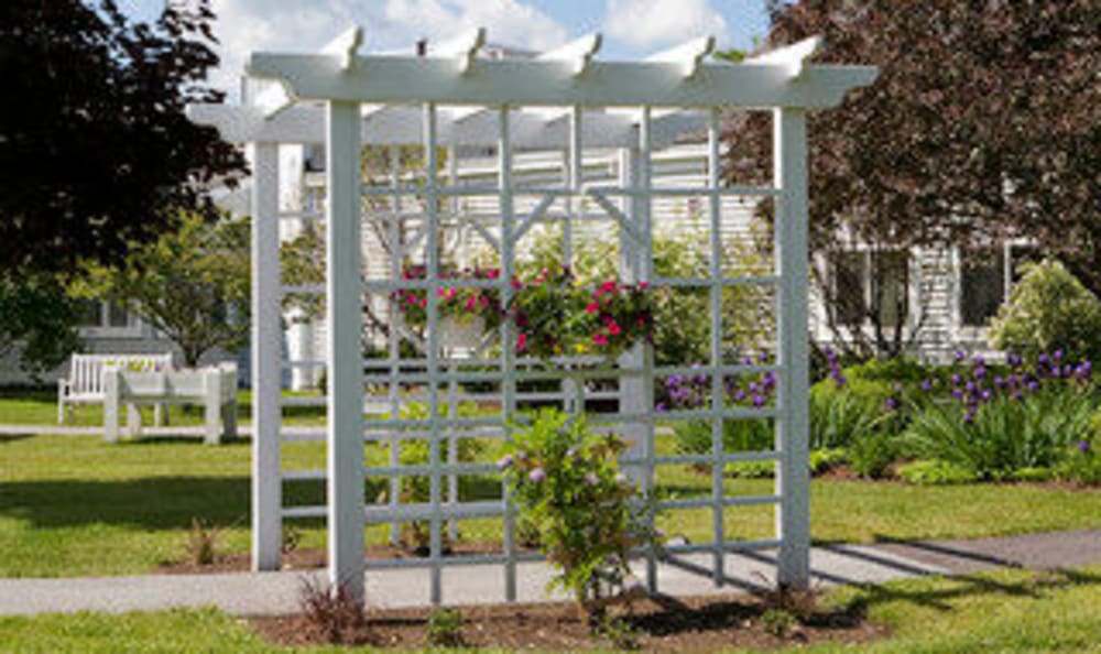 A white pergola with a trellis, adorned with hanging flowers in a garden setting.