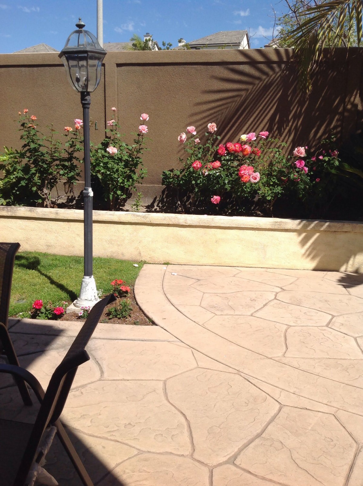 A sunny patio with a flower bed of colorful roses.