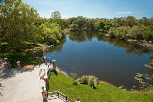 A scenic view of a tranquil lake surrounded by lush greenery, with a wooden deck overlooking the water.