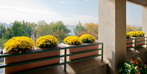 A serene balcony adorned with vibrant yellow flowers, overlooking a picturesque autumn landscape.
