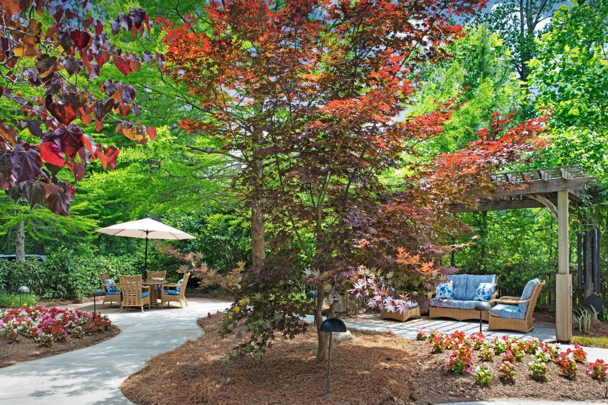 A serene garden scene with a colorful tree and comfortable patio seating.