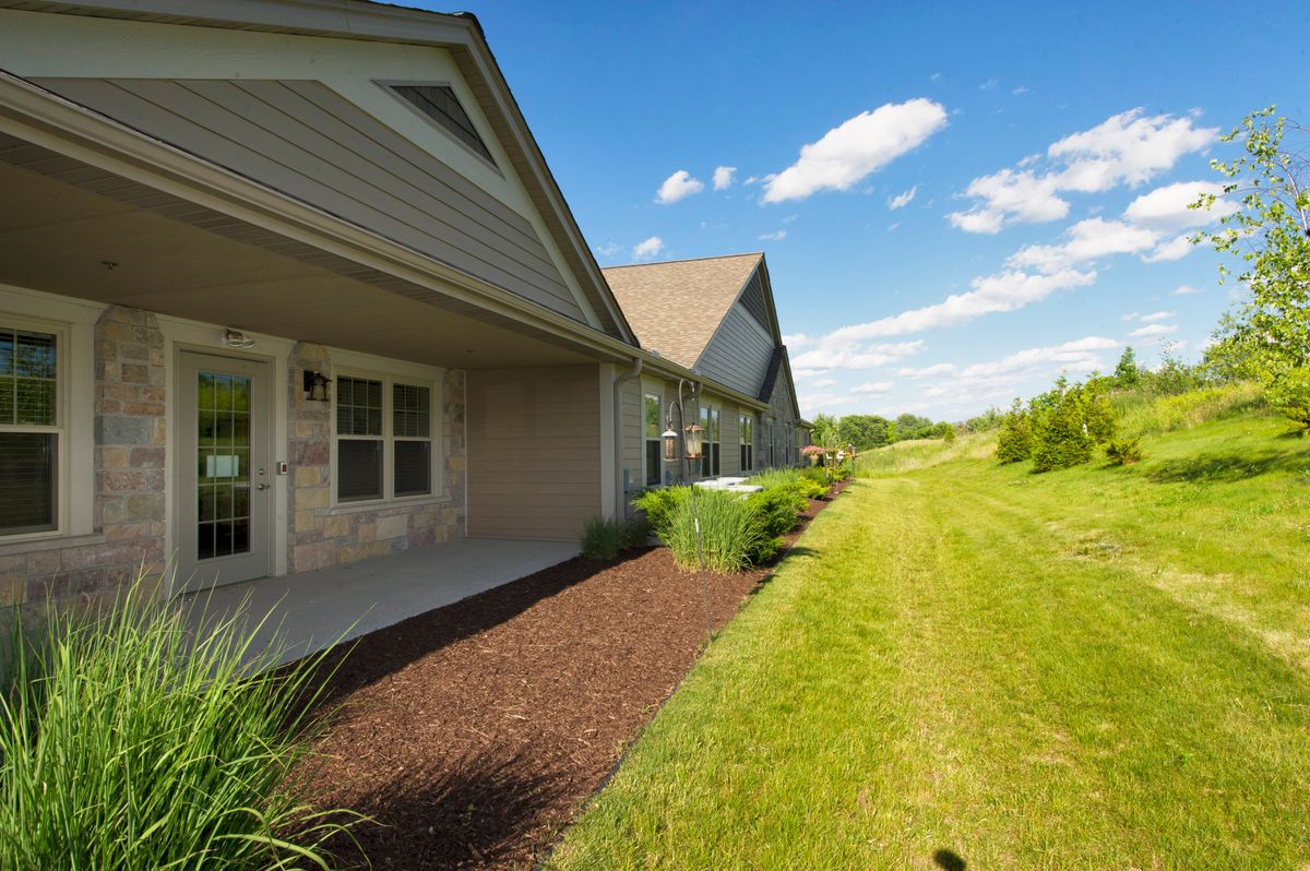 A sunny day in a suburban backyard with a well-maintained lawn and garden.