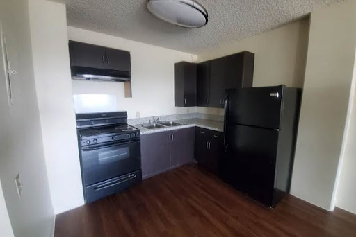 A modern kitchen featuring black appliances and sleek cabinetry.