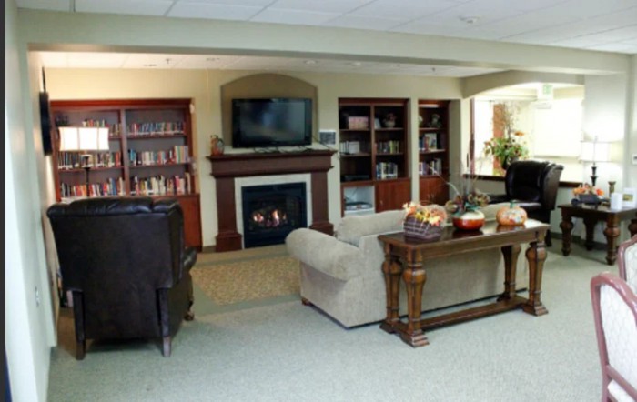 A cozy living room with a fireplace, television, and bookshelves.